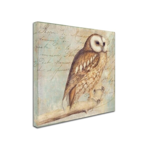 Color Bakery 'White-Faced Owl' Canvas Art,18x18